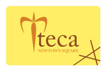 teca logo over yellow background